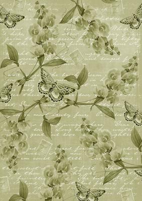 Olive Vintage Sweet Peas A4 Backing Paper