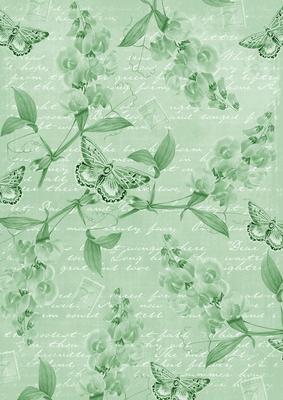 Mint Green Vintage Sweet Peas A4 Backing Paper