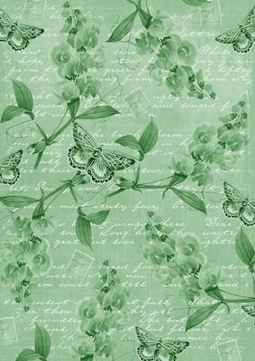 Mid Green Vintage Sweet Peas A4 Backing Paper