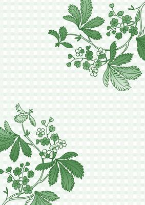 Mint Green Floral Corner Check A4 Backing Paper