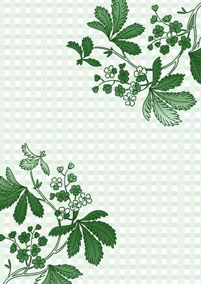 Mid Green Floral Corner Check A4 Backing Paper