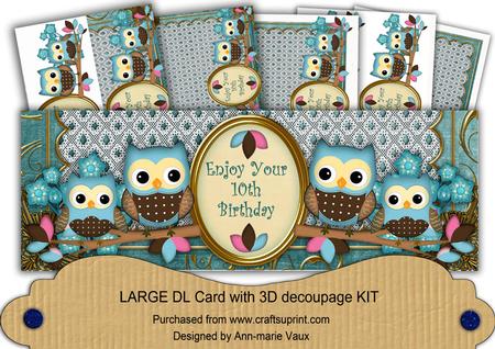 Blue Owls 10th Birthday Large Dl Decoupage Card Kit