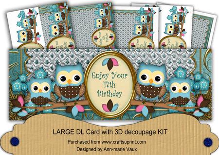 Blue Owls 17th Birthday Large Dl Card Kit