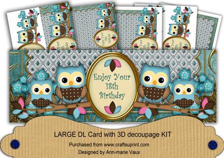 Blue Owls 18th Birthday Large Dl Card Kit