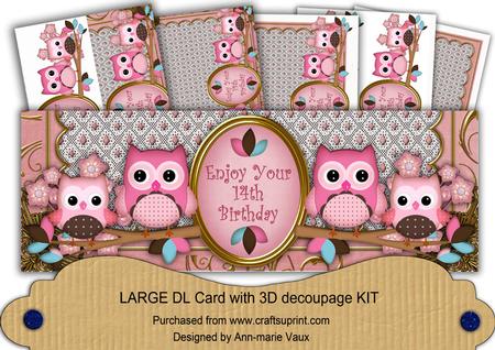 Pink Owls 14th Birthday Large Dl Card Kit