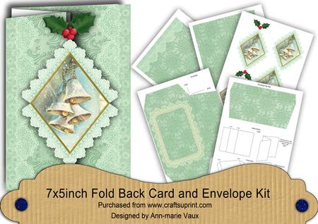 Snowbells Aqua Fold Back Lace Card and Envelope Kit
