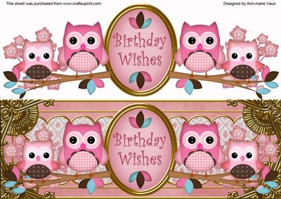 Pink Owls Birthday Wishes Large Dl Topper