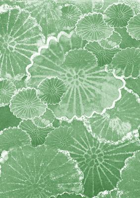 Mint Green Oriental Lily Pad A4 Backing Paper