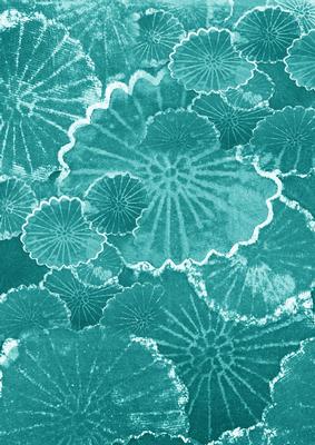 Teal Oriental Lily Pad A4 Backing Paper