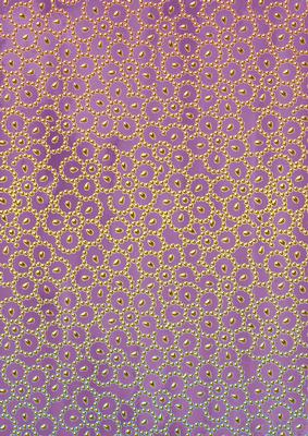 Purple Gold Floral Beading A4 Backing Paper