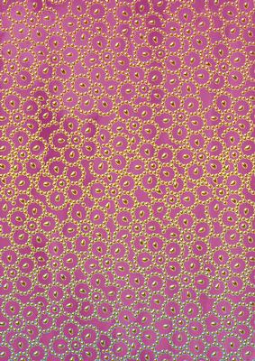 Cerise Gold Floral Beading A4 Backing Paper
