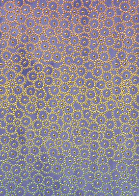 Dblue Gold Floral Beading A4 Backing Paper