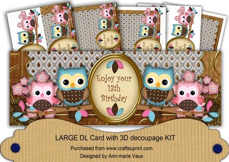 Pink Blue Owls 13th Birthday Large Dl Card Kit