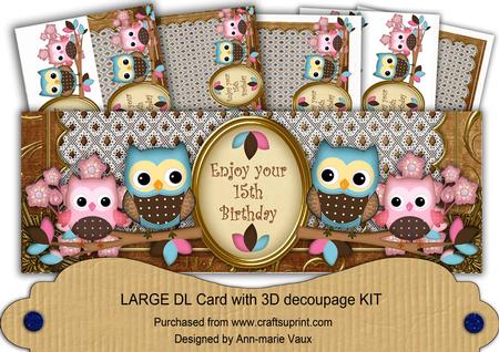 Pink Blue Owls 15th Birthday Large Dl Card Kit