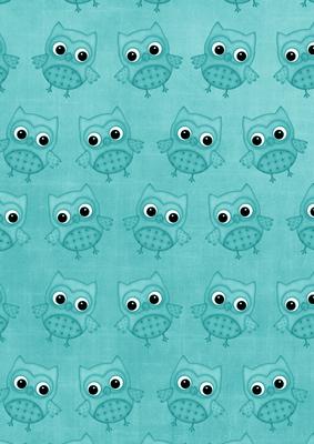 Teal Toned Owls A4 Backing Paper