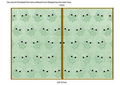 Mint Green Toned Owl 7x5 Cut and Fold Card