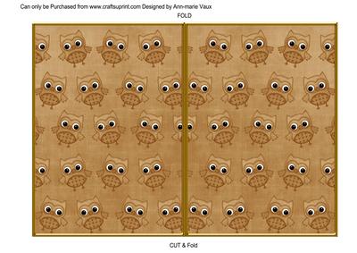 Vinatge Tea Toned Owl 7x5 Cut and Fold Card