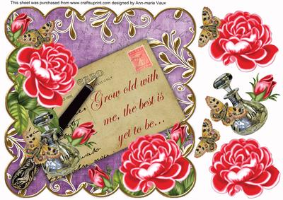 Bpink Roses Lil Grow Old with Me -  8in Scallop Step by Step