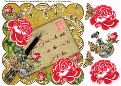 Bpink Roses Gold Grow Old with Me. 8in Scallop Step by Step