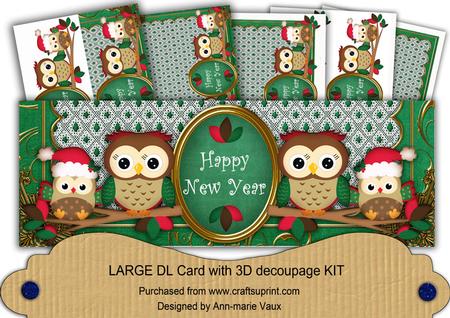 Green Christmas Owls Happy New Year Large Dl Card Kit
