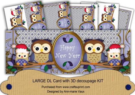 Pale Blue Christmas Owls Happy New Year Large Dl Card Kit