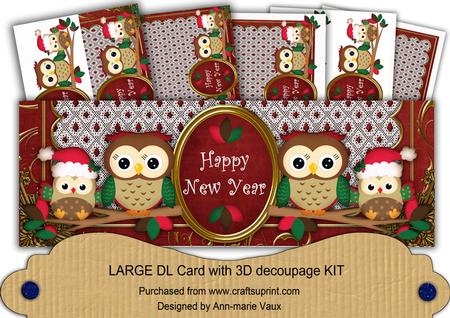 Red Christmas Owls Happy New Year Large Dl Card Kit