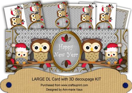 Silver Christmas Owls Happy New Year Large Dl Card Kit