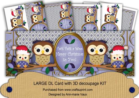 Pale Blue Owls Twittwitawoo Christmas Large Dl Card Kit