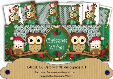 Green Christmas Owls Christmas Wishes Large Dl Card Kit