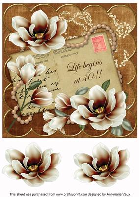 Chocolate Magnolia Life Begins at 40! 8in Decoupage Topper