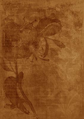 Vintage Tea Floral Lily Aged Swirl A4 Backing Paper