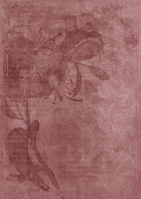 Dusky Pink Floral Lily Aged Swirl A4 Backing Paper