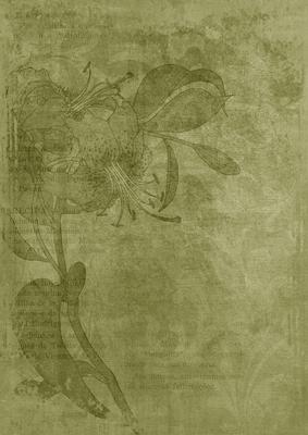 Olive Floral Lily Aged Swirl A4 Backing Paper