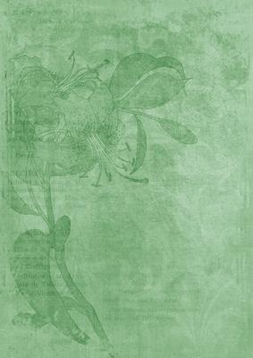 Mint Floral Lily Aged Swirl A4 Backing Paper