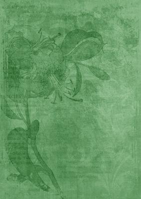 Mid Green Floral Lily Aged Swirl A4 Backing Paper