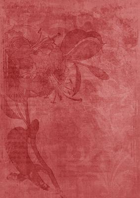 Pink Floral Lily Aged Swirl A4 Backing Paper