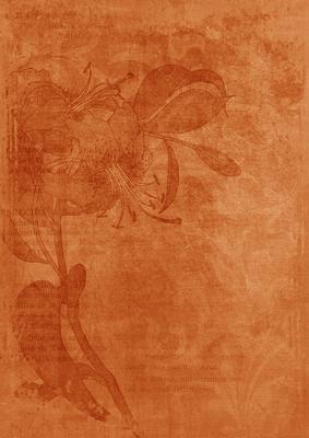 Borange Floral Lily Aged Swirl A4 Backing Paper