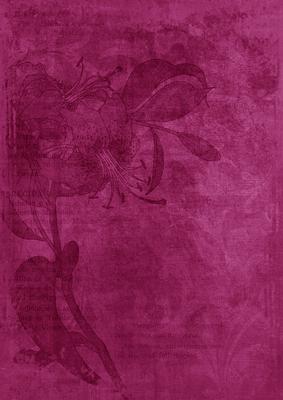 Cerise Floral Lily Aged Swirl A4 Backing Paper