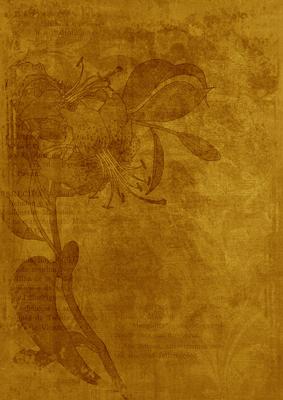 Gold Floral Lily Aged Swirl A4 Backing Paper