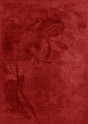 Dark Red Floral Lily Aged Swirl A4 Backing Paper