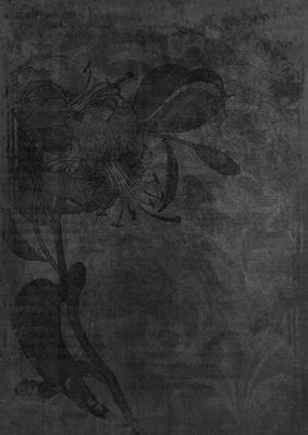 Black Floral Lily Aged Swirl A4 Backing Paper