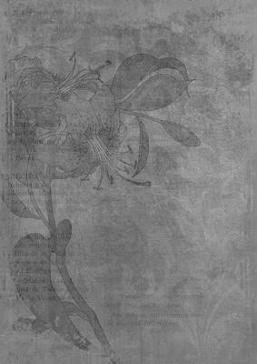 Silver Floral Lily Aged Swirl A4 Backing Paper