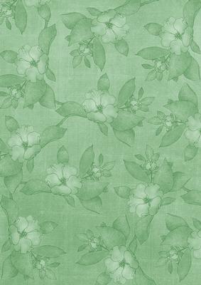 Mint Green Plain Apple Blossom A4 Backing Paper