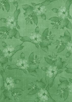 Mid Green Plain Apple Blossom A4 Backing Paper