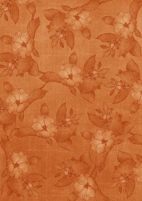 Borange Plain Apple Blossom A4 Backing Paper