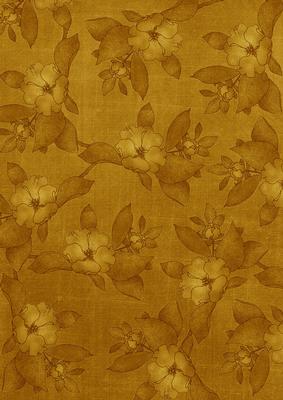 Gold Plain Apple Blossom A4 Backing Paper