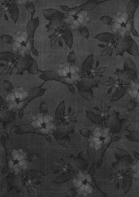 Black Plain Apple Blossom A4 Backing Paper