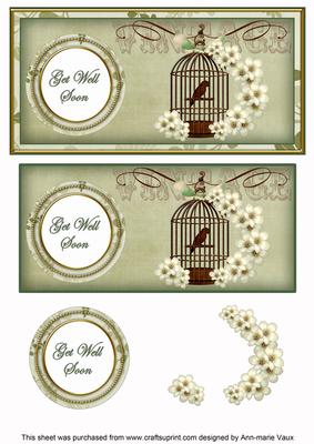 Olive Birdcage Get Well Soon Dl Decoupage Topper