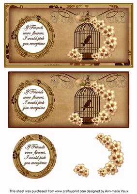 Vtea Birdcage If Friends Were -  Dl Decoupage Topper