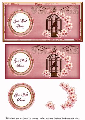 Pink Birdcage Get Well Soon Dl Decoupage Topper